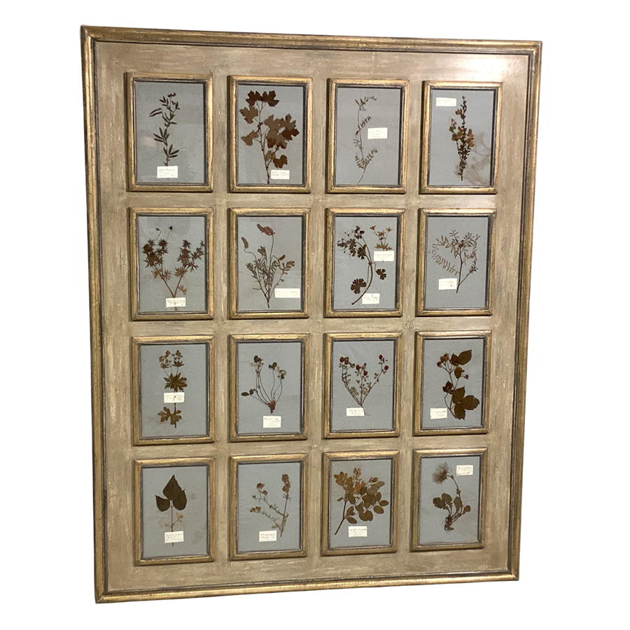 ANTIQUE FRENCH HERBARIUM