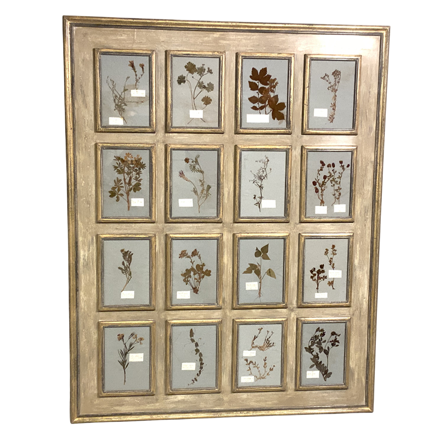 ANTIQUE FRENCH HERBARIUM