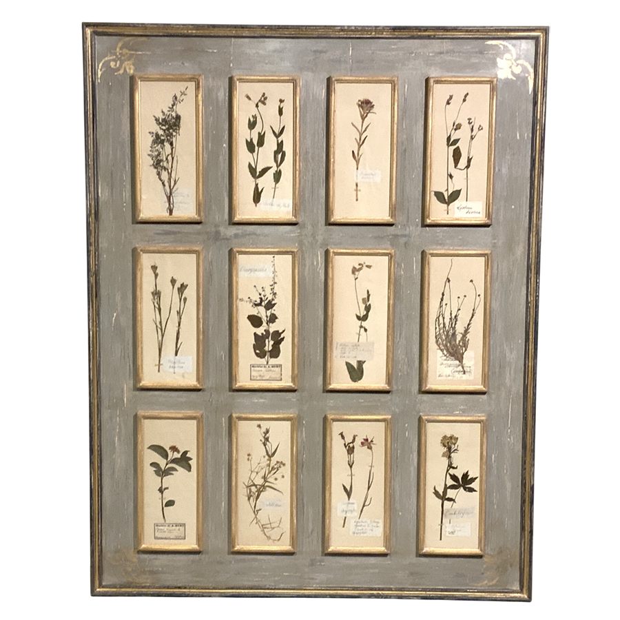 ANTIQUE FRENCH HERBARIUM