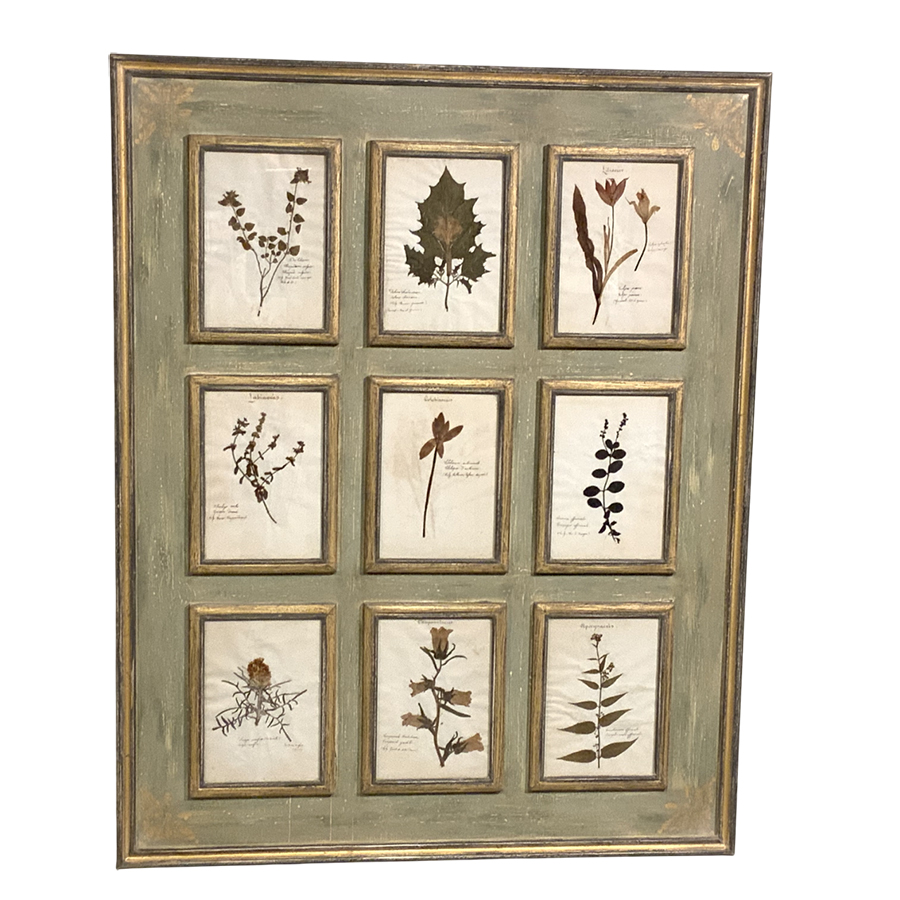 ANTIQUE FRENCH HERBARIUM