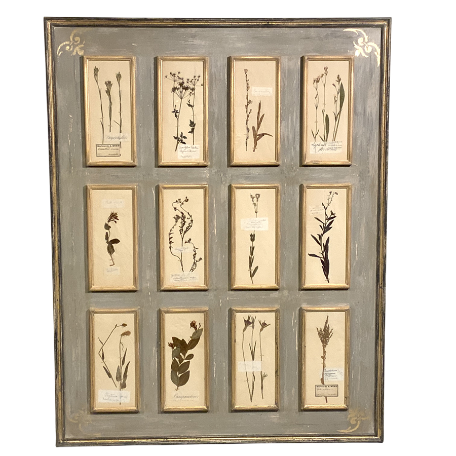 ANTIQUE FRENCH HERBARIUM
