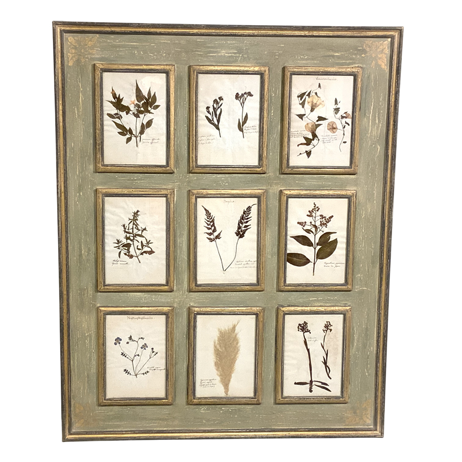 ANTIQUE FRENCH HERBARIUM