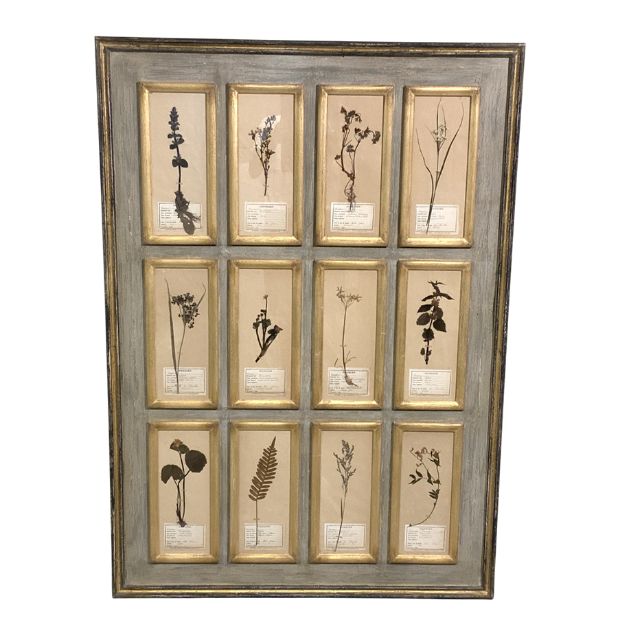 ANTIQUE FRENCH HERBARIUM