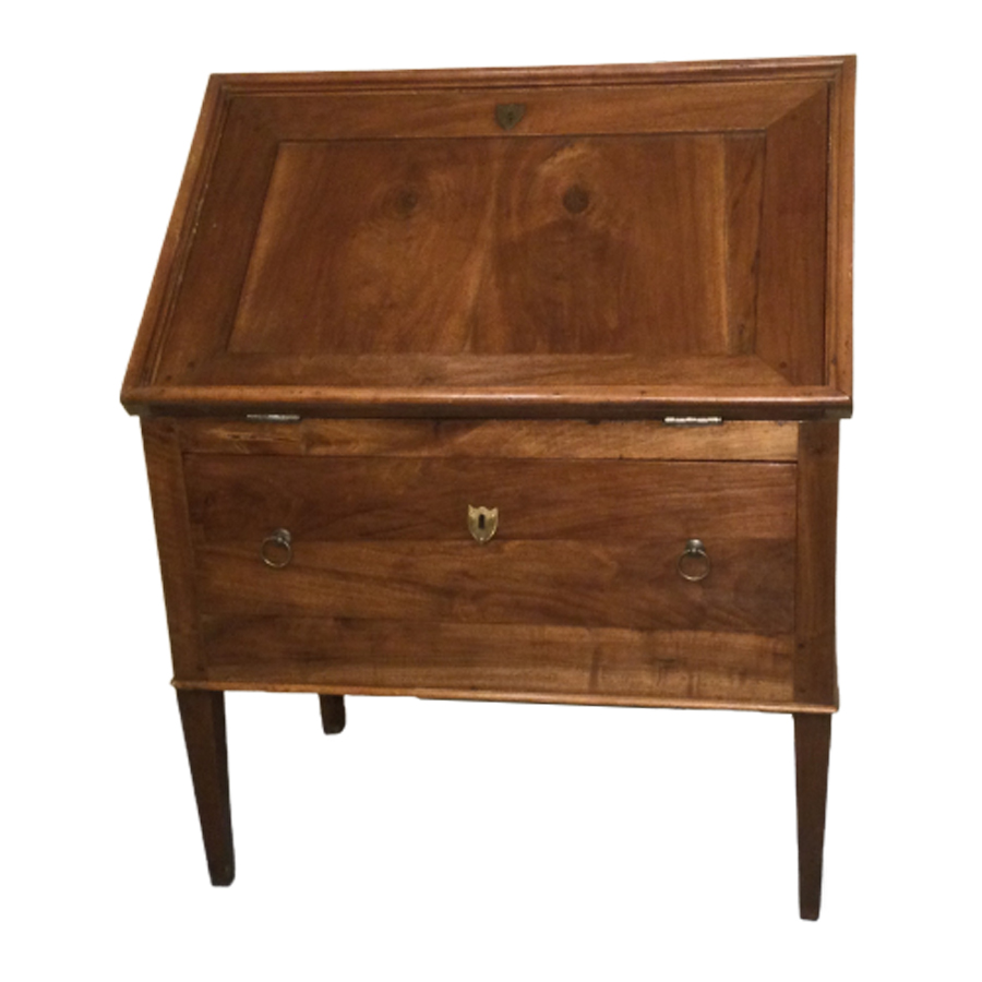 ANTIQUE SCRIBAN