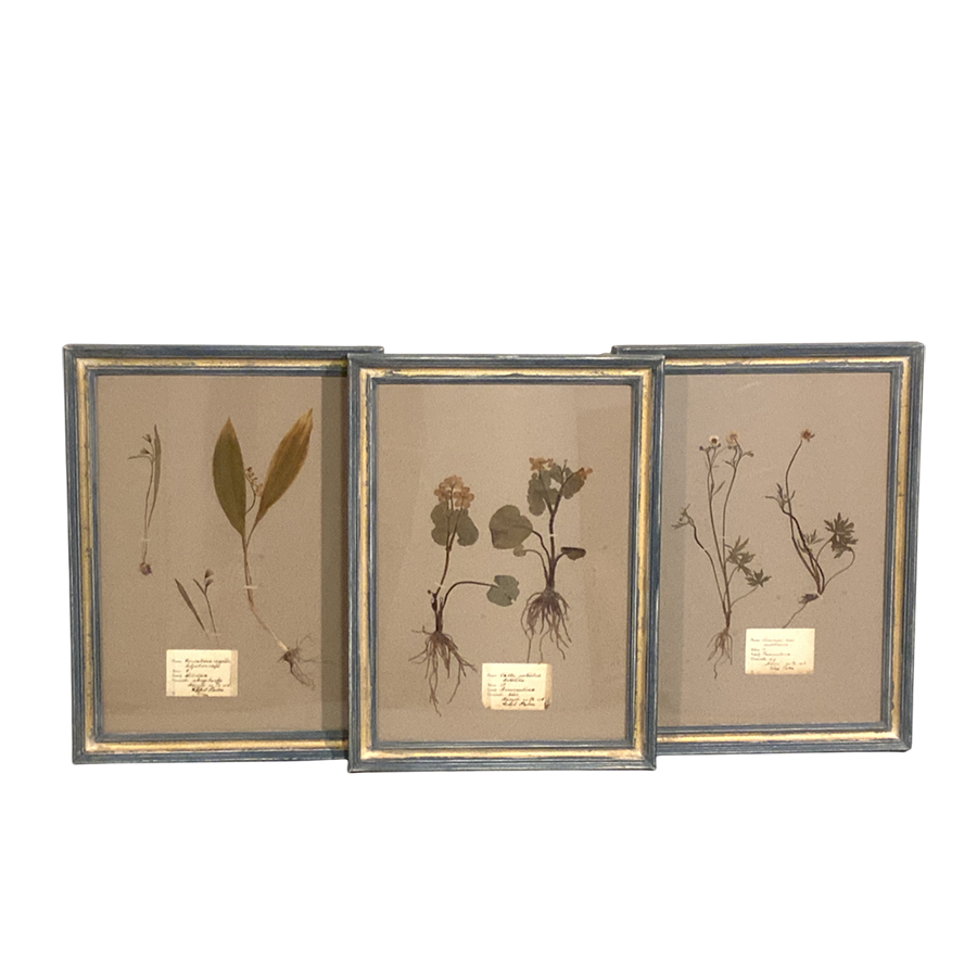 FRENCH BOTANICALS