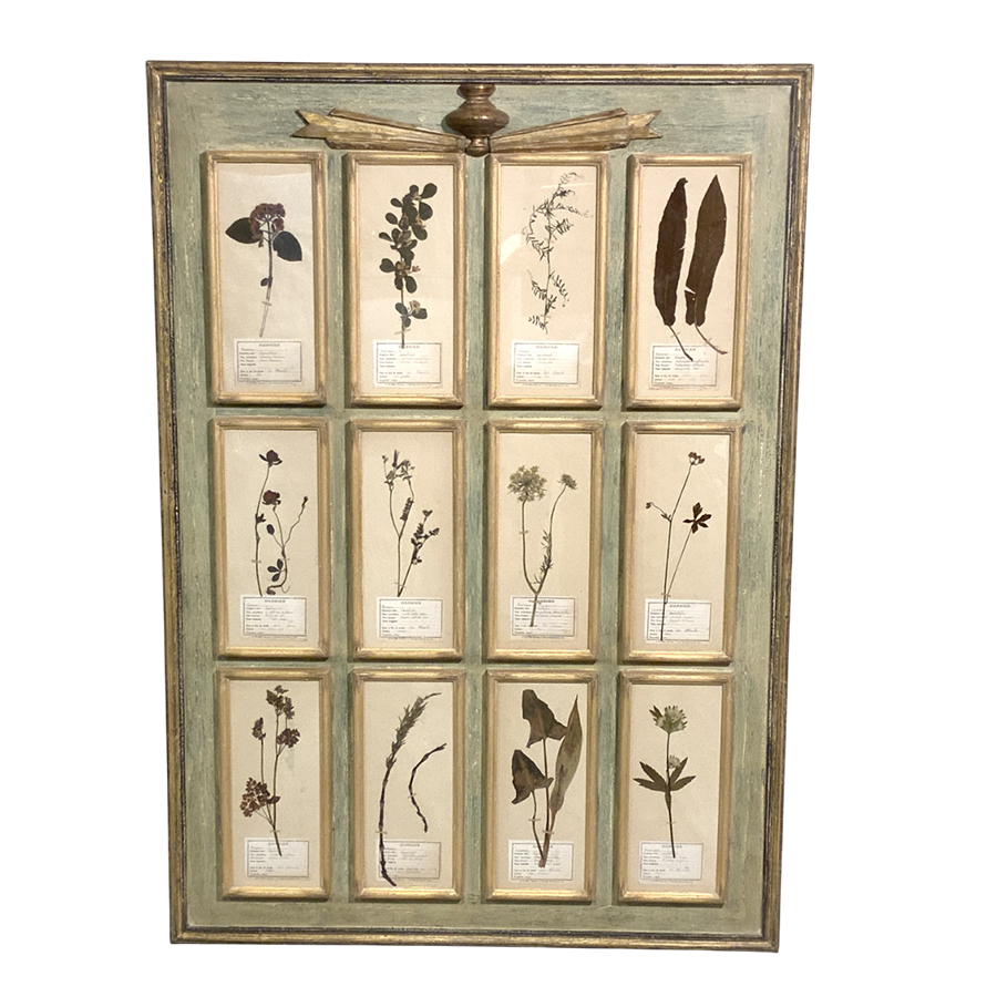 ANTIQUE FRENCH HERBARIUM