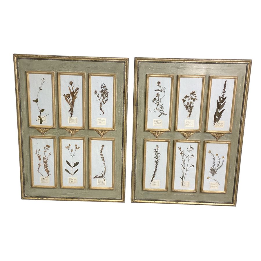 PAIR OF ANTIQUE FRENCH HERBARIUM