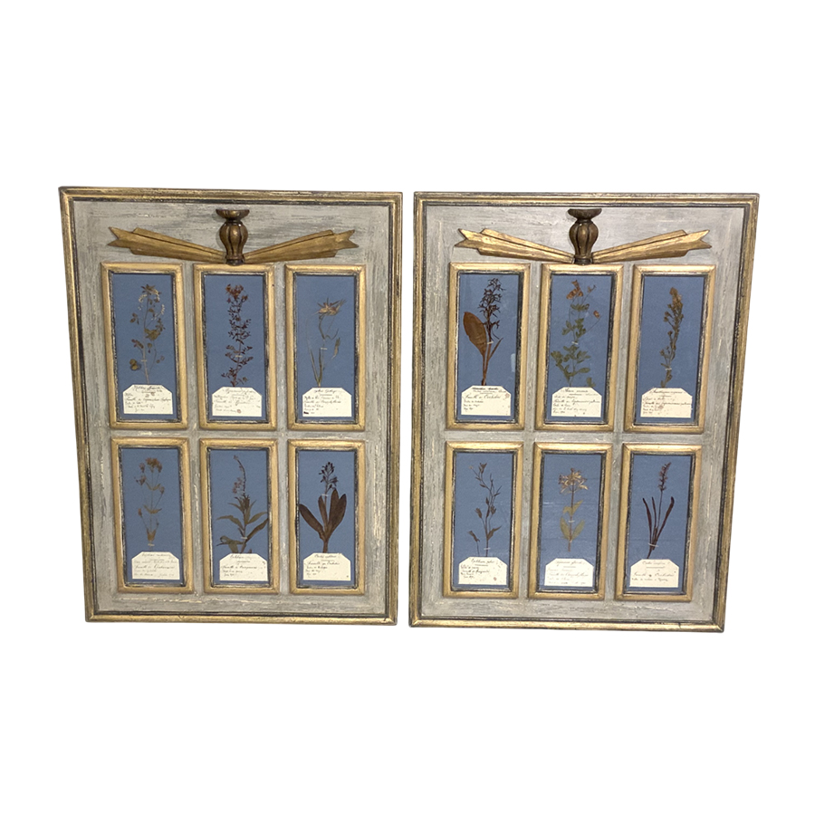 PAIR OF ANTIQUE FRENCH HERBARIUM