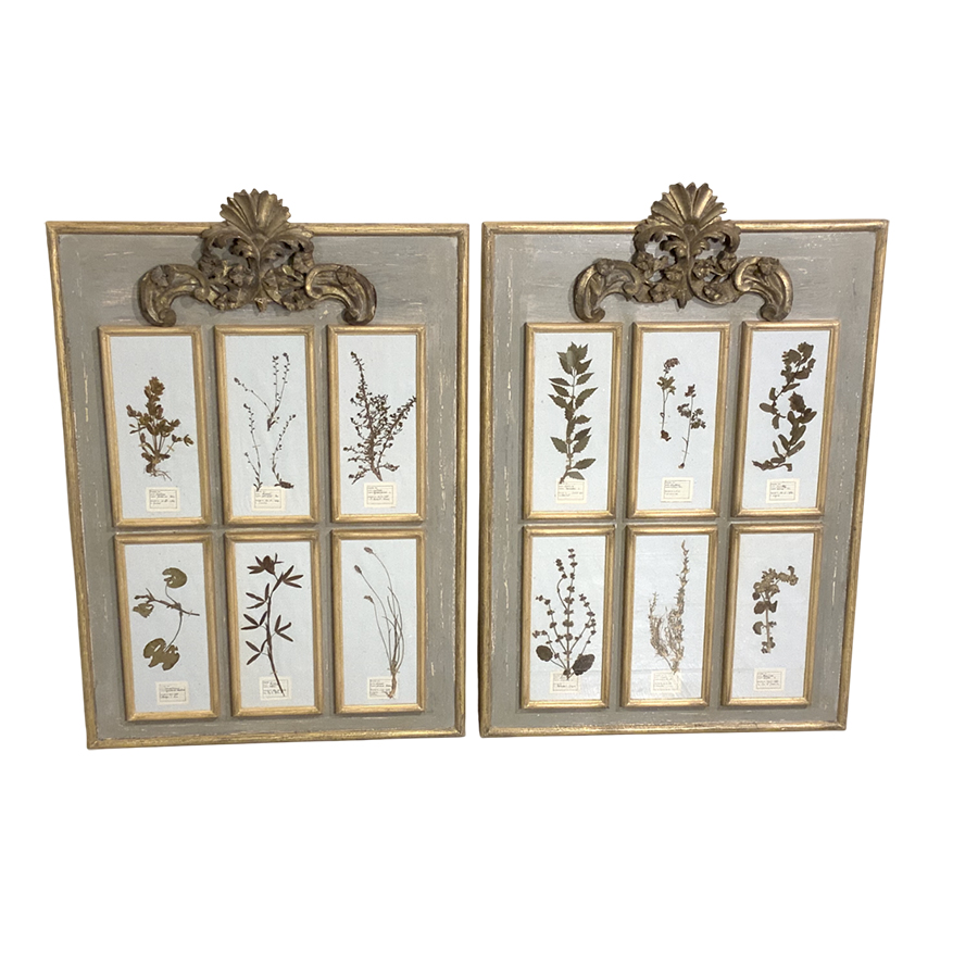 PAIR OF ANTIQUE FRENCH HERBARIUM