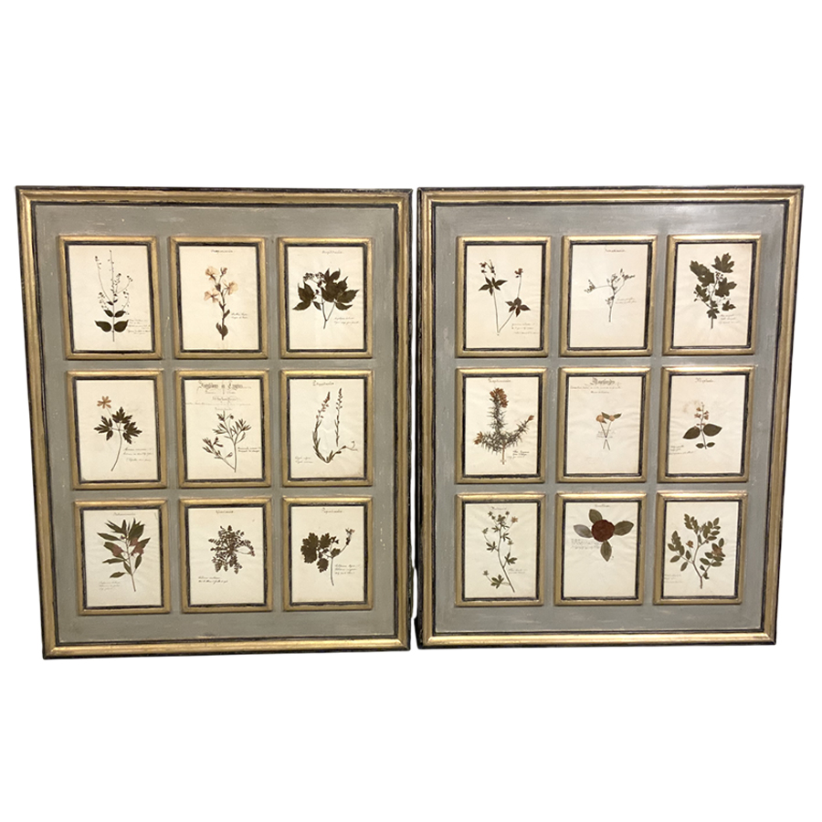 PAIR OF ANTIQUE FRENCH HERBARIUM