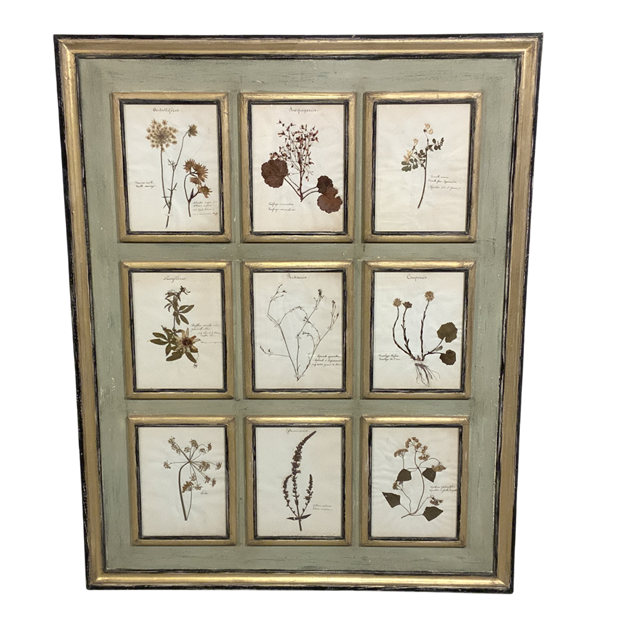 ANTIQUE FRENCH HERBARIUM