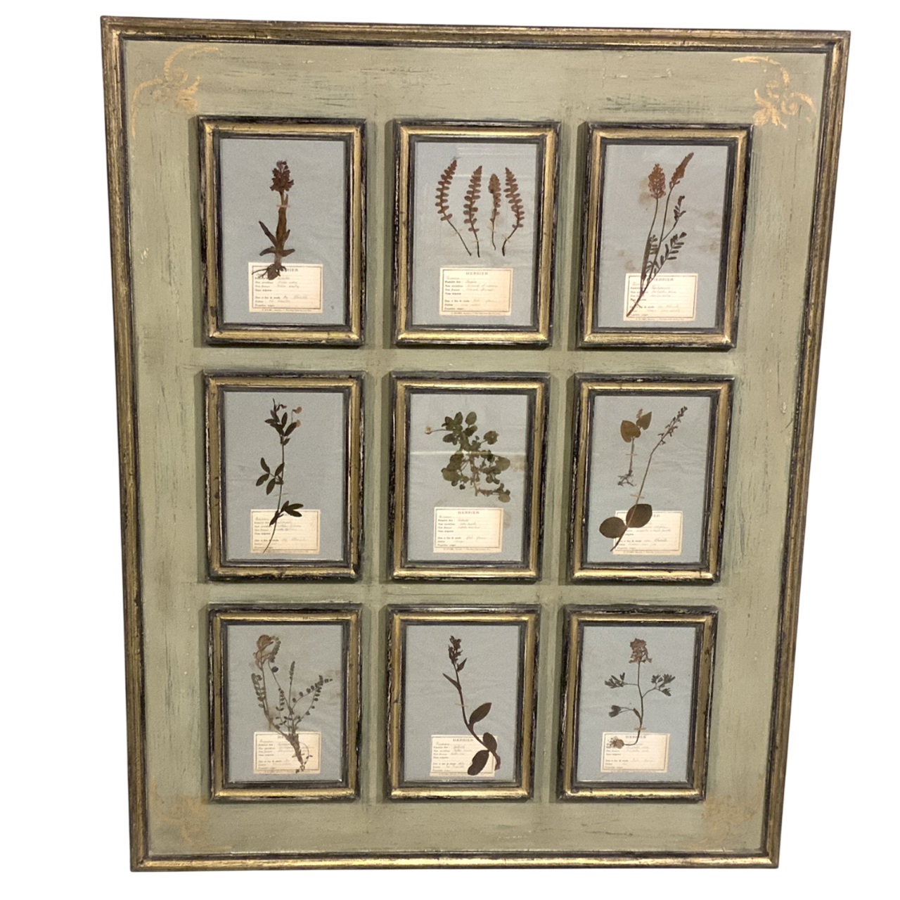 ANTIQUE FRENCH HERBARIUM