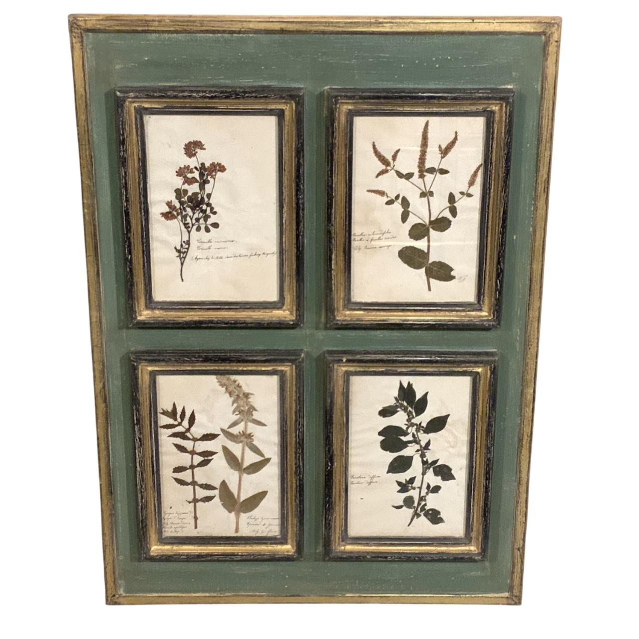 ANTIQUE FRENCH HERBARIUM