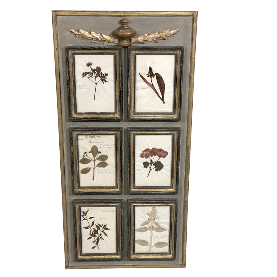 ANTIQUE FRENCH HERBARIUM