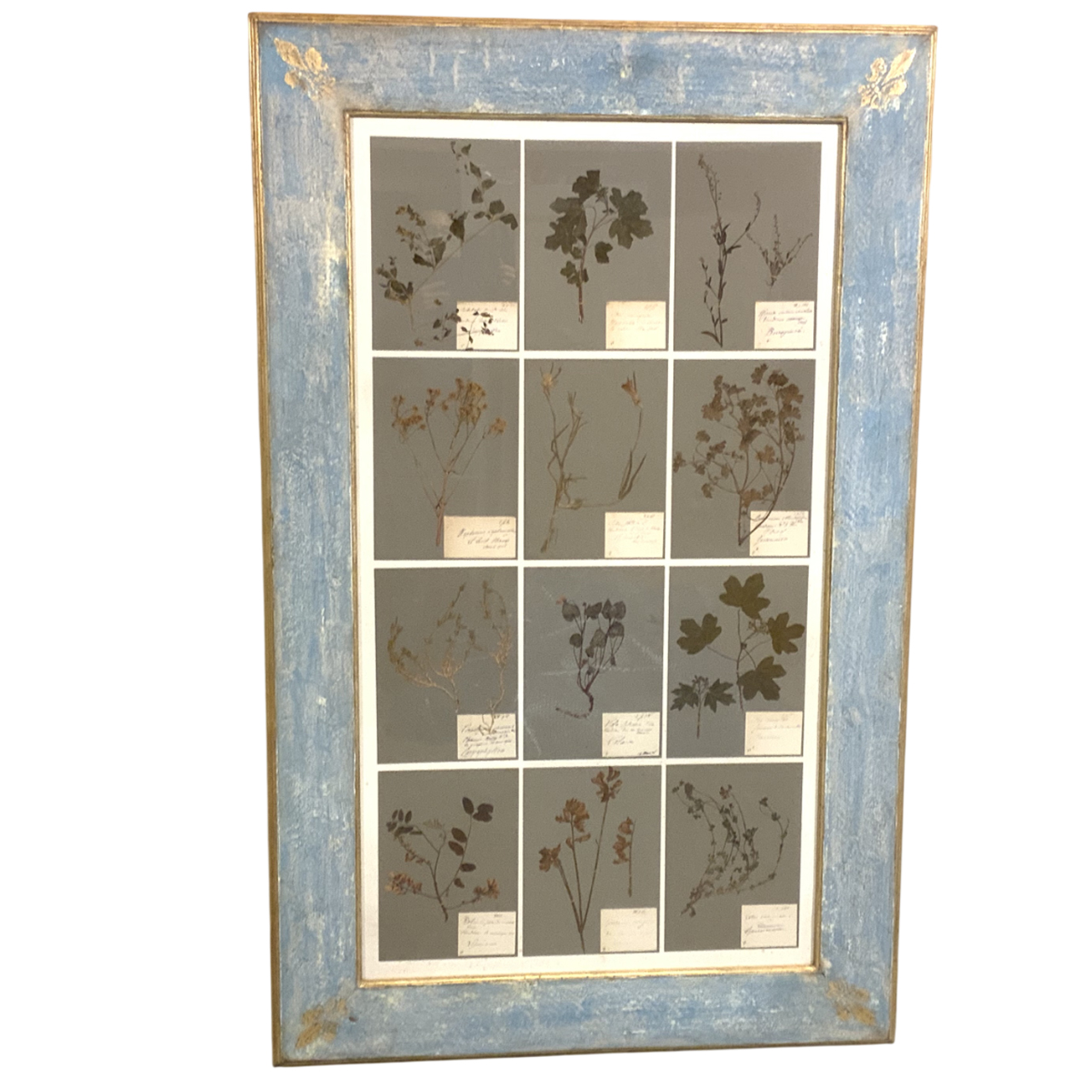 ANTIQUE FRENCH HERBARIUM