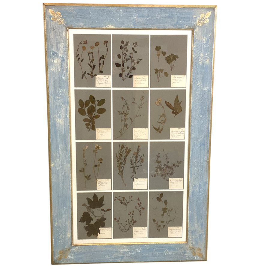 ANTIQUE FRENCH HERBARIUM
