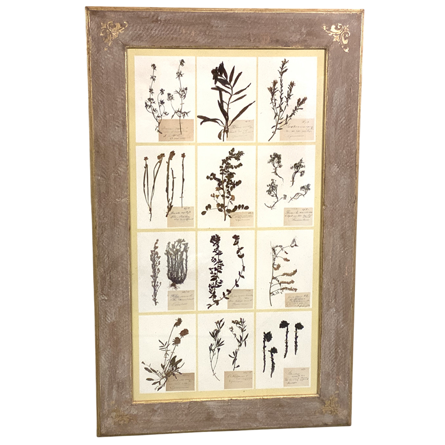 ANTIQUE FRENCH HERBARIUM