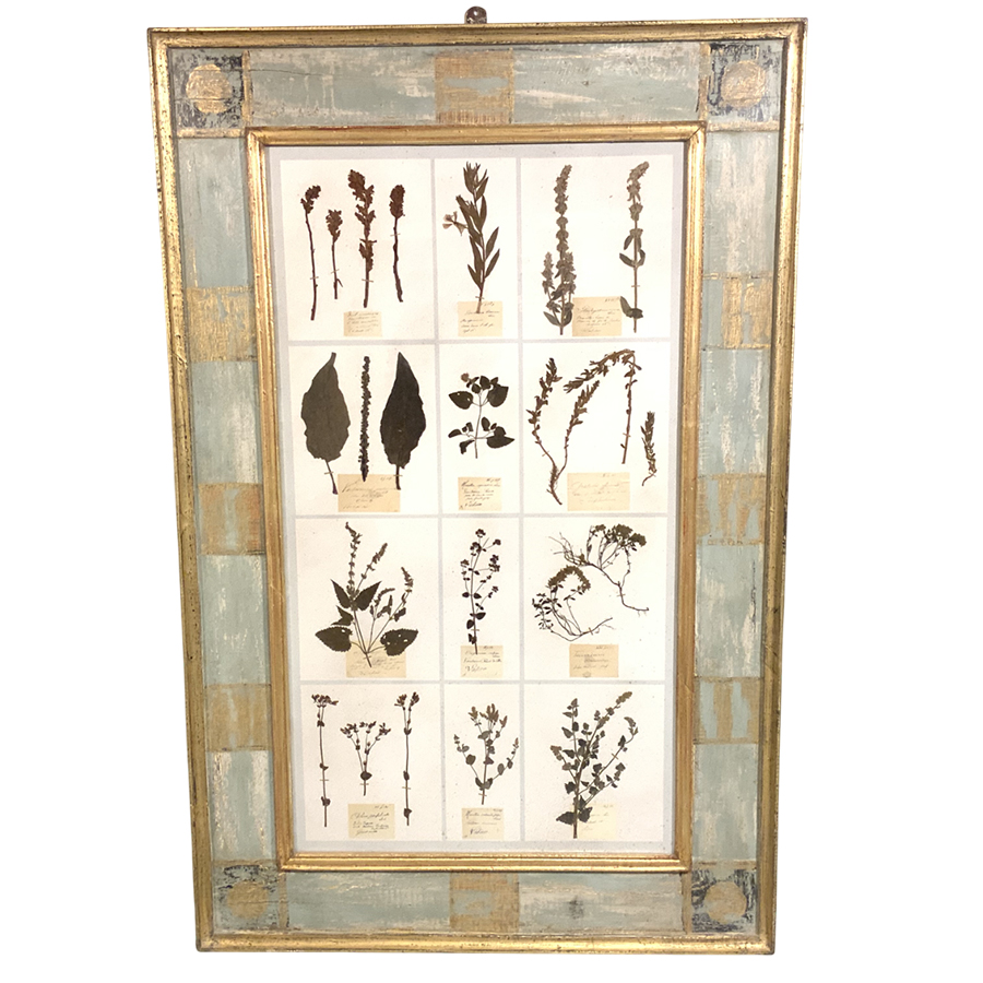 ANTIQUE FRENCH FRAMED HERBARIUMS
