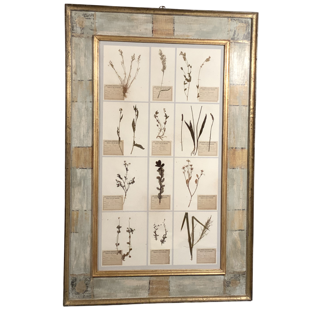 ANTIQUE FRENCH FRAMED HERBARIUMS