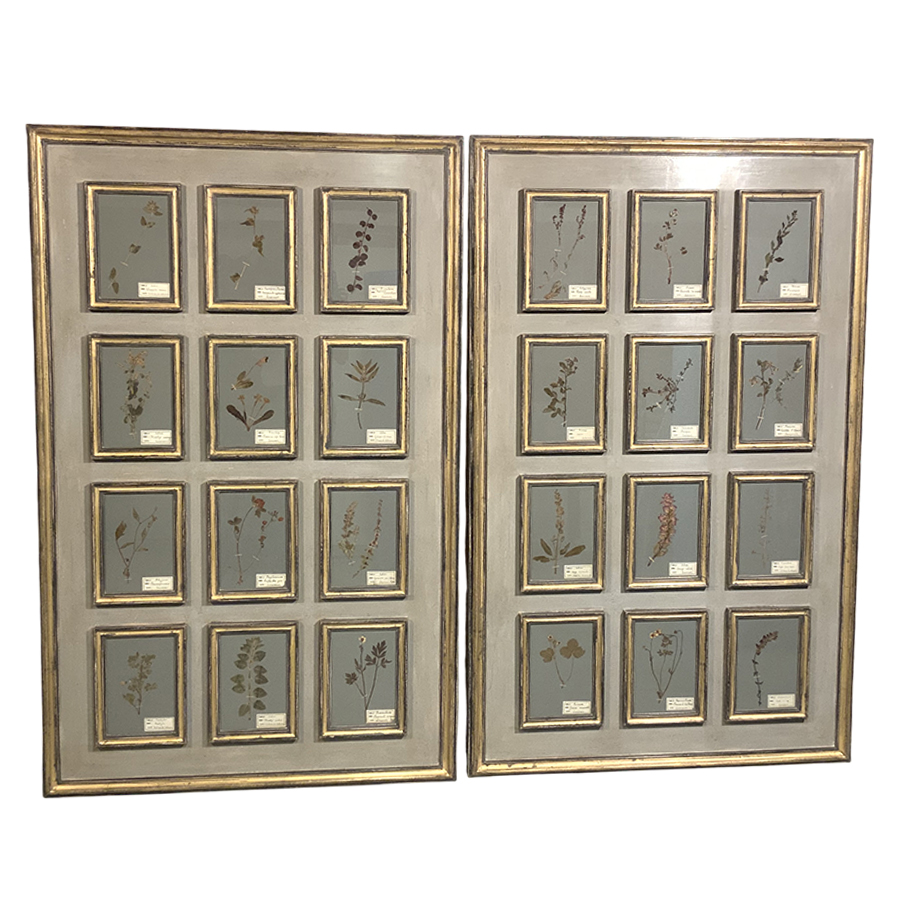 ANTIQUE FRENCH HERBARIUMS