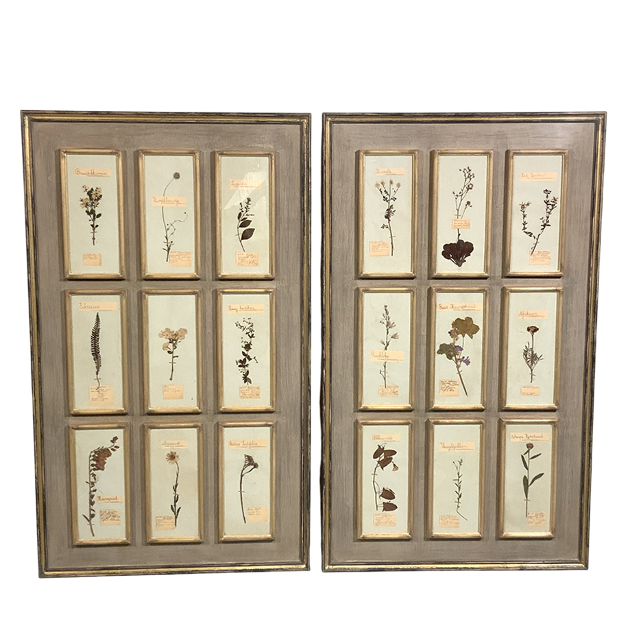 PAIR OF ANTIQUE FRENCH HERBARIUM