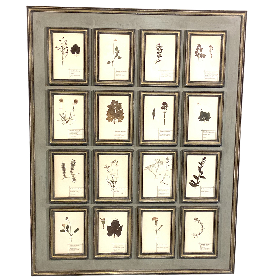 ANTIQUE FRENCH HERBARIUM