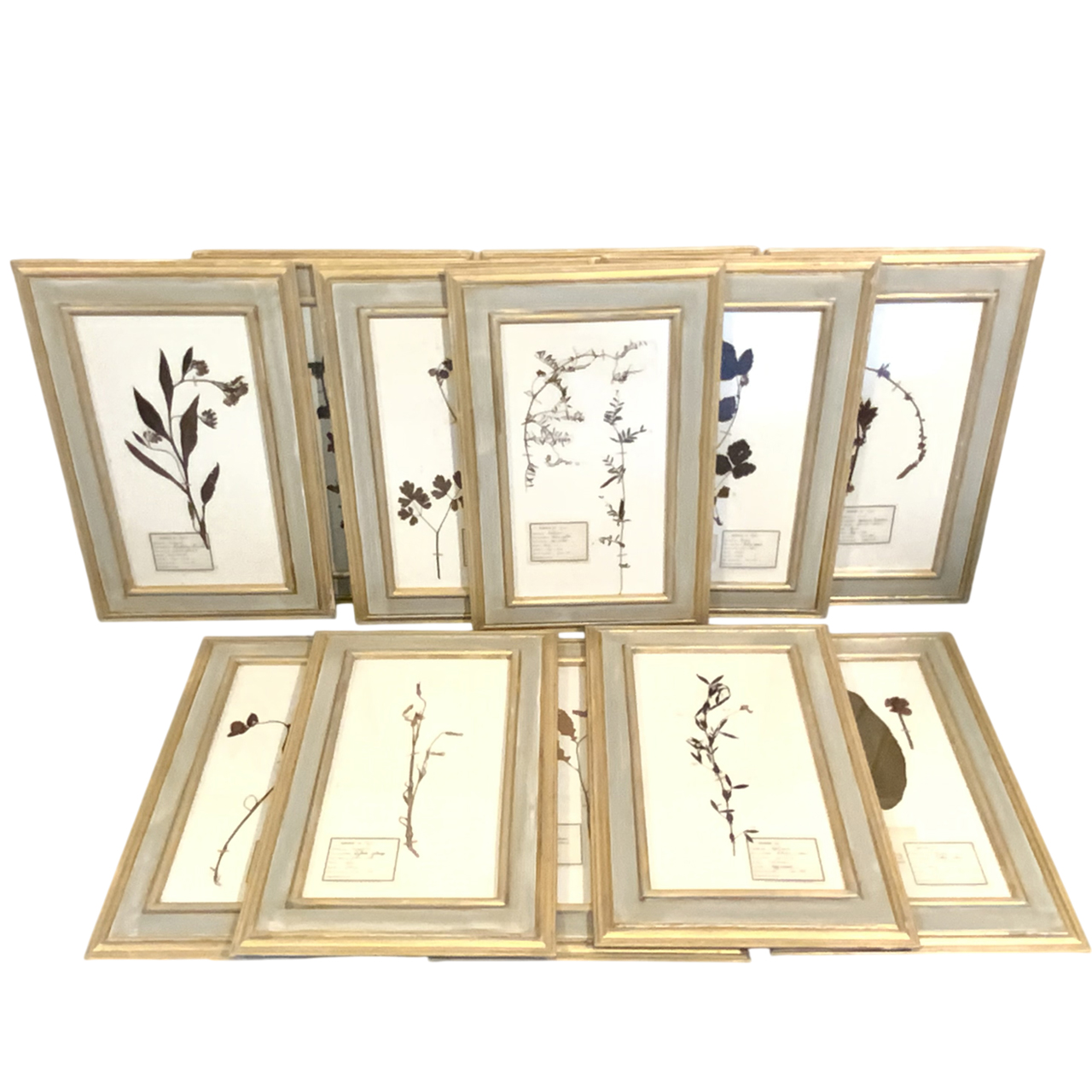 FRENCH BOTANICALS
