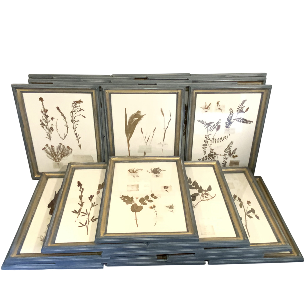 FRENCH BOTANICALS