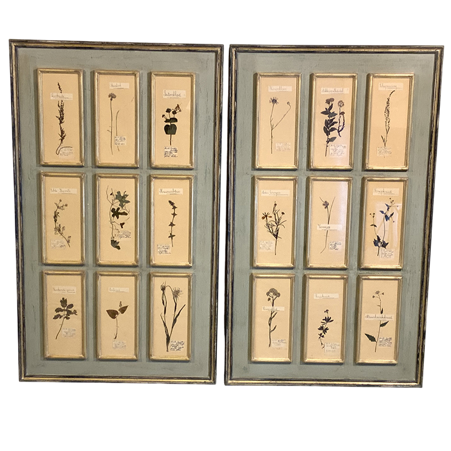 PAIR OF ANTIQUE FRENCH HERBARIUM