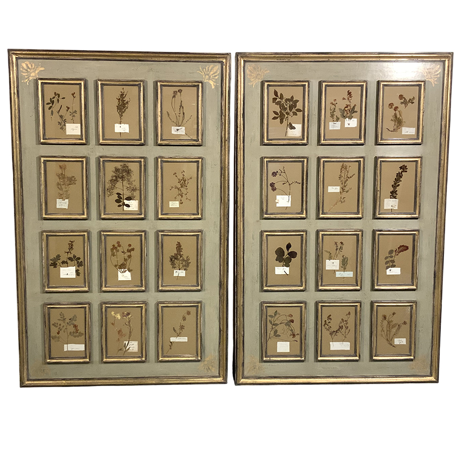 PAIR OF ANTIQUE FRENCH HERBARIUM